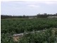 Wamuran QLD 4512