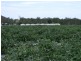 Wamuran QLD 4512