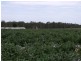 Wamuran QLD 4512