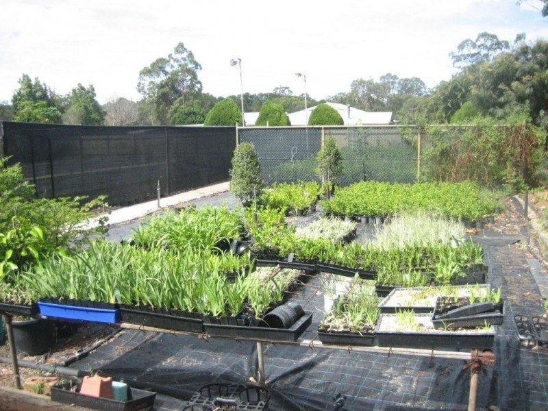 Burpengary QLD 4505