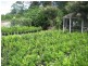 Burpengary QLD 4505