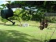 125 Riflebird Dr, Upper Caboolture QLD 4510