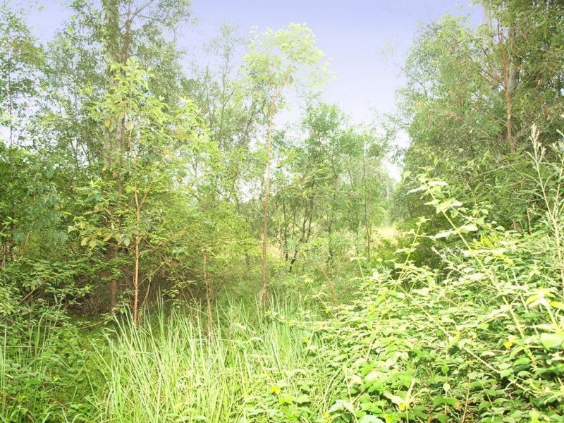 D’aguilar QLD 4514