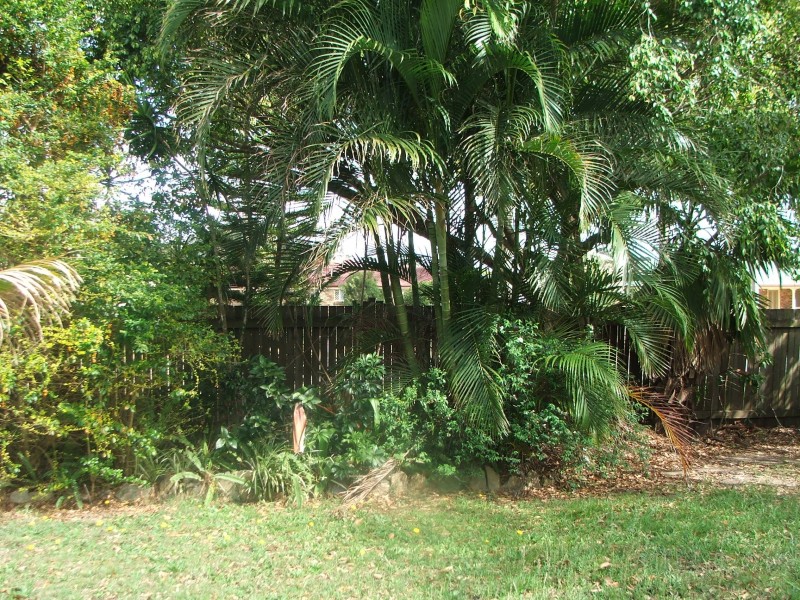 58 Crestwood Avenue, Morayfield QLD 4506