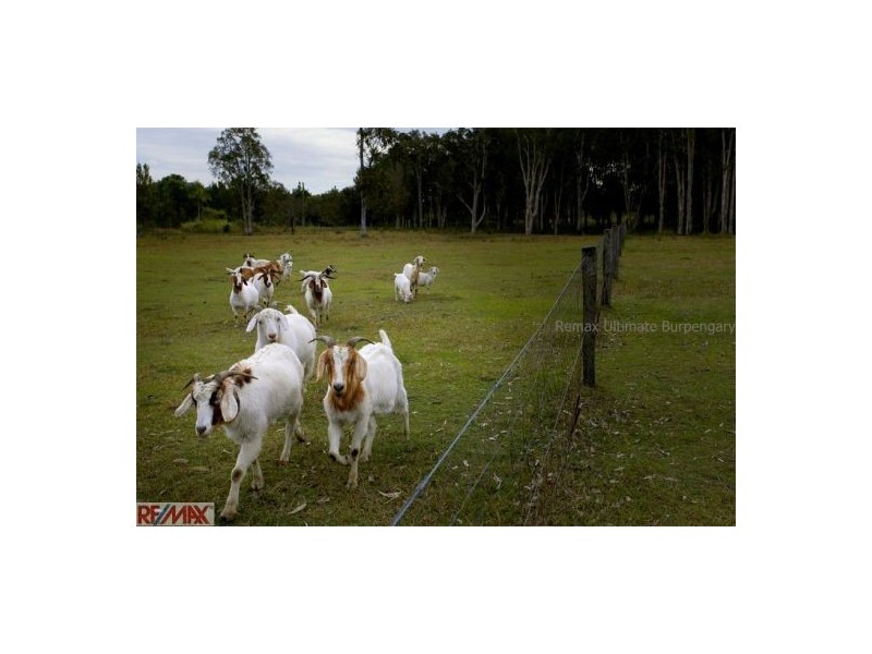 Beachmere QLD 4510