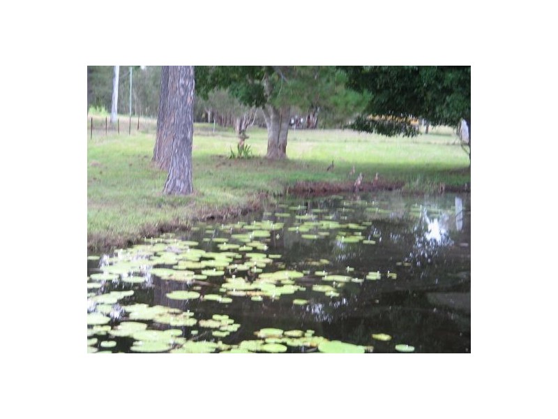 Beachmere QLD 4510