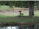 Beachmere QLD 4510