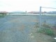 Beachmere QLD 4510