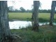 Beachmere QLD 4510