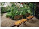Burpengary QLD 4505