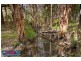 Woodford QLD 4514