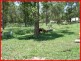 Morayfield QLD 4506