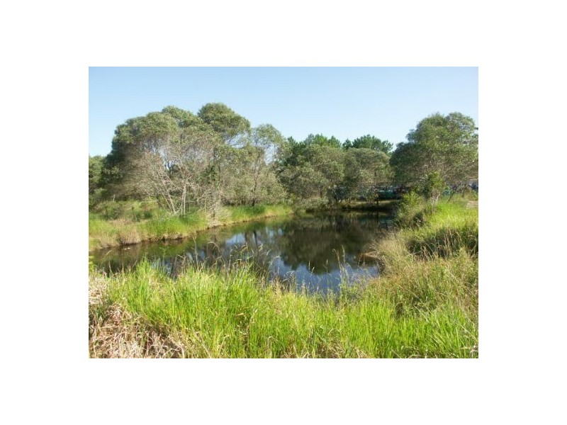 Elimbah QLD 4516