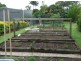 Burpengary QLD 4505