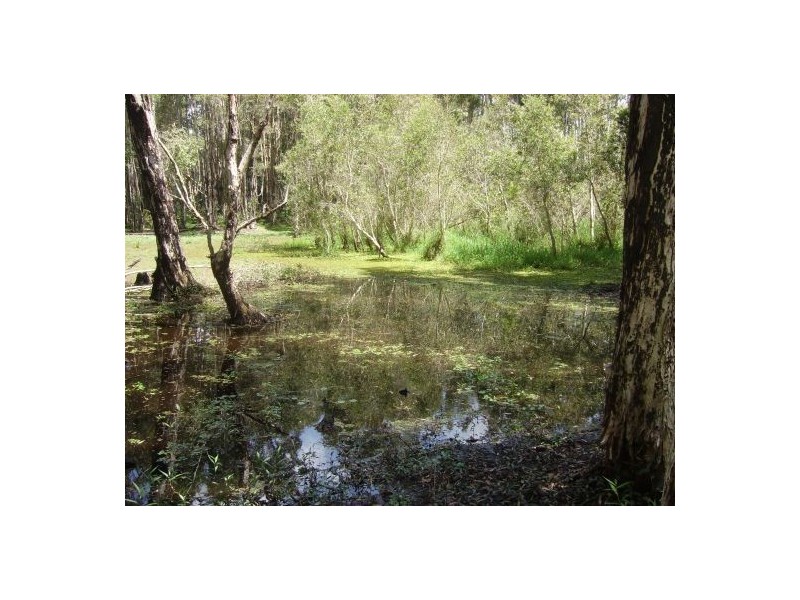 105 Cobb Road, Burpengary QLD 4505