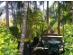 15 Avocet Court, Burpengary QLD 4505