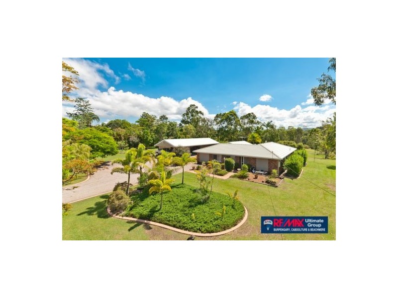 46 Bristlebird Drive, Morayfield QLD 4506