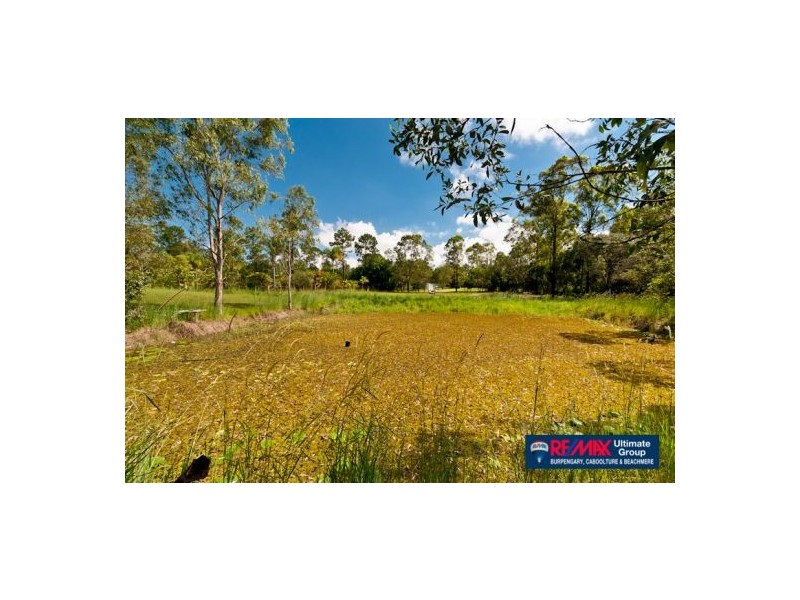 46 Bristlebird Drive, Morayfield QLD 4506