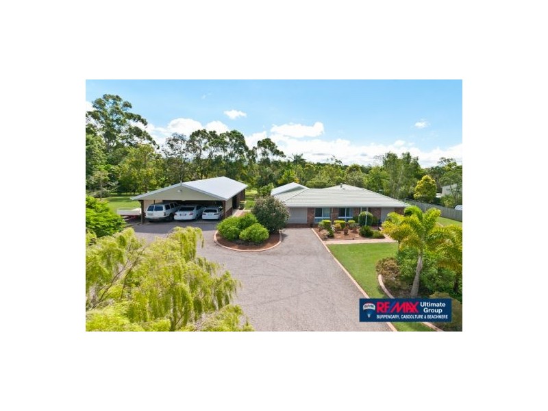 46 Bristlebird Drive, Morayfield QLD 4506