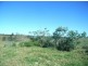 Mount Mee QLD 4521