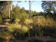 Narangba QLD 4504
