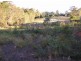 Narangba QLD 4504