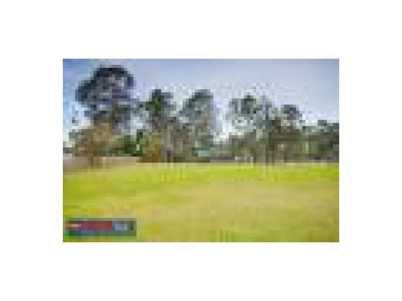 238 Williamson Road, Morayfield QLD 4506