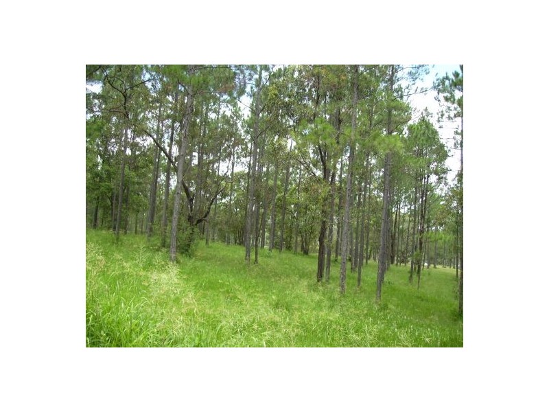 Lot 78 Arborsixteen Road, Glenwood QLD 4570