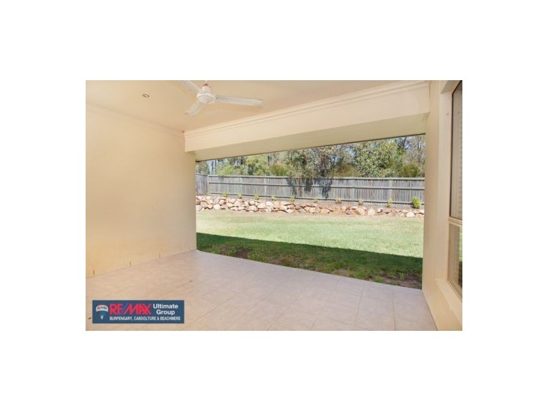 57 Tuckeroo Street, Narangba QLD 4504