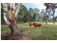 381 Bishop Road, Beachmere QLD 4510