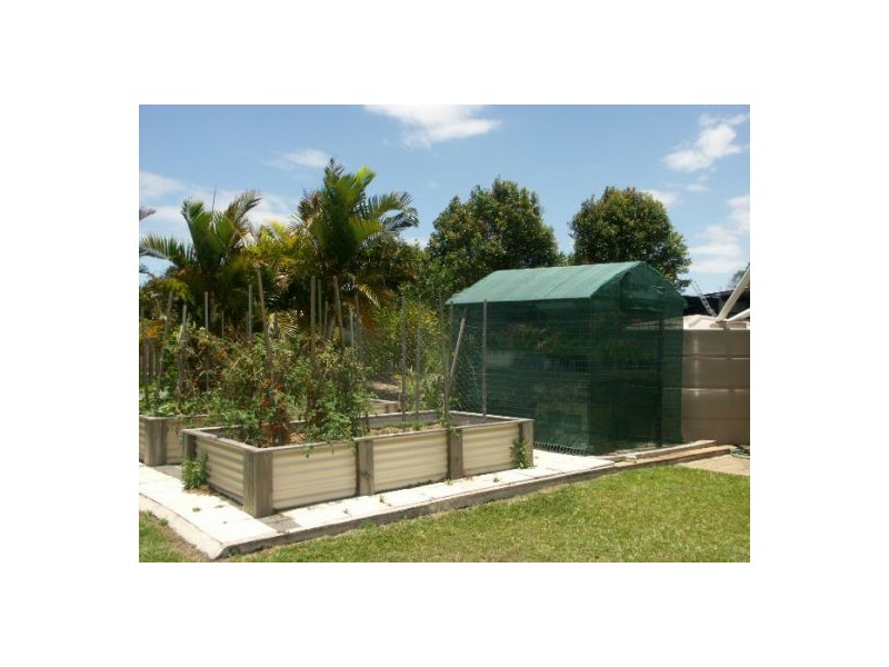 80 Shaun Parade, Elimbah QLD 4516