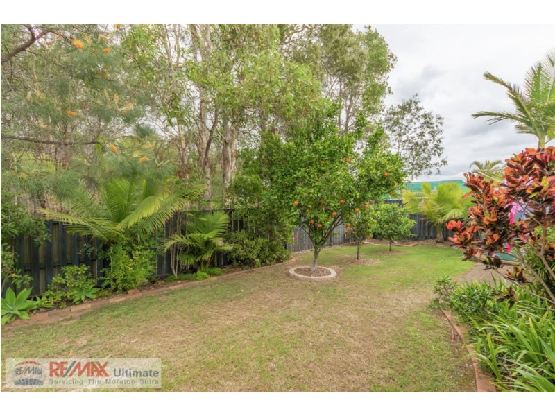 17 Maurice Avenue, Morayfield QLD 4506