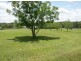 Elimbah QLD 4516