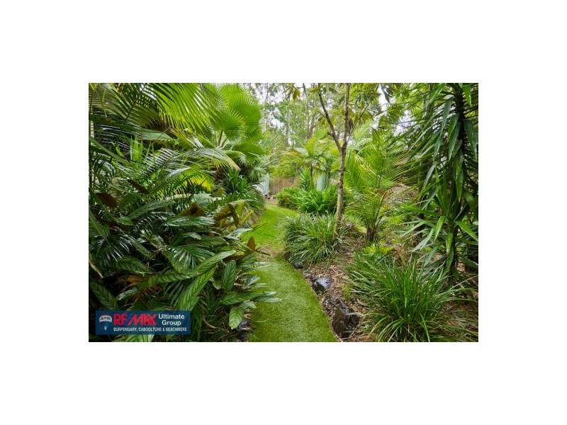 3 Rainforest Drive, Burpengary QLD 4505