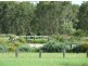 Lot 449 Acemia Drive, Morayfield QLD 4506