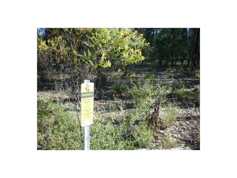 104 Lewington Road, Weranga QLD 4405