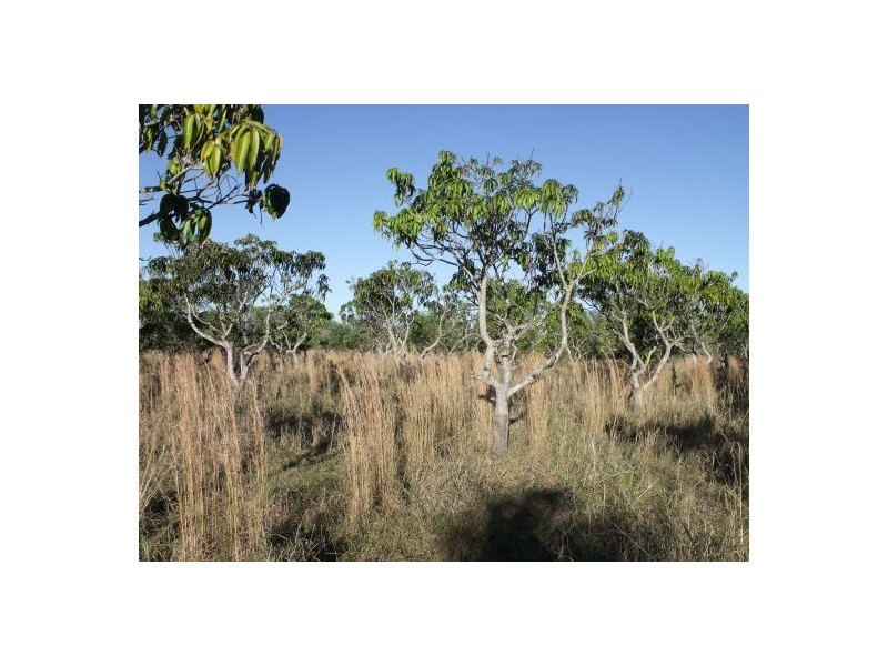 215 Smiths Road, Caboolture QLD 4510