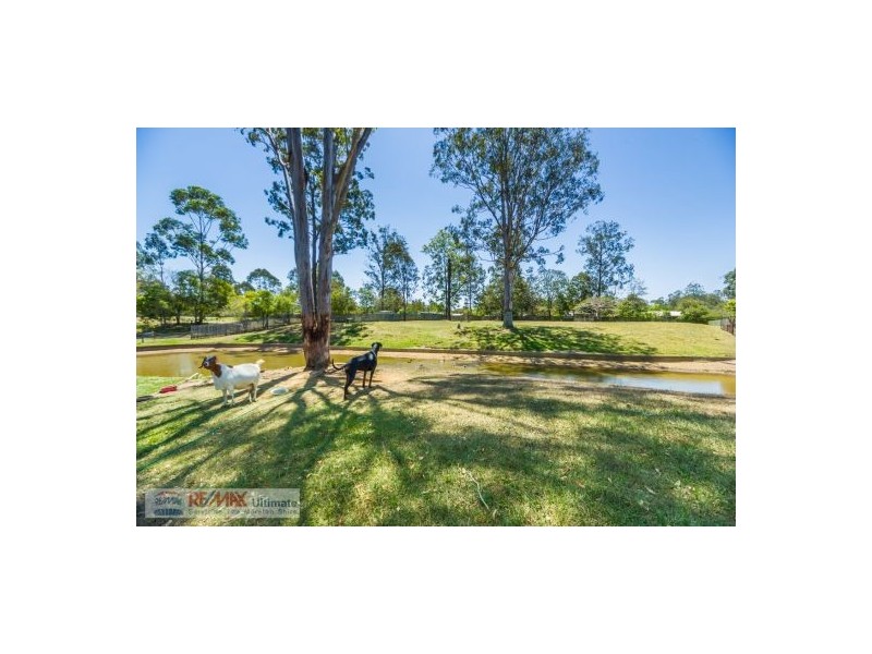 24 Chapman Drive, Wamuran QLD 4512