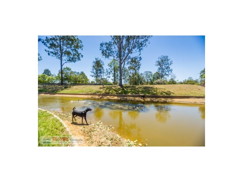 24 Chapman Drive, Wamuran QLD 4512