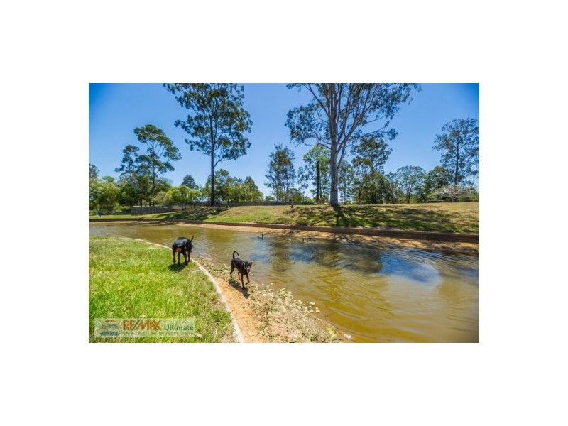 24 Chapman Drive, Wamuran QLD 4512