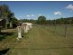Elimbah QLD 4516