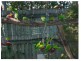 99 Station Road, Burpengary QLD 4505