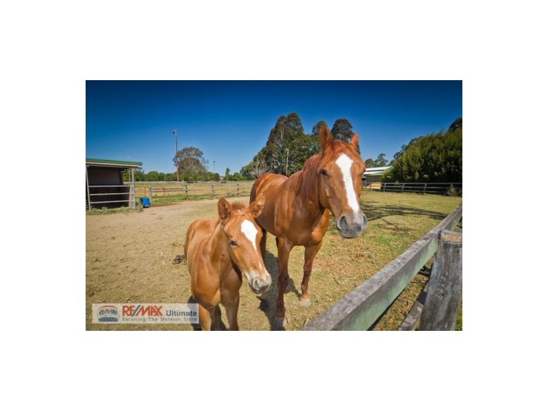 78 Mathew Crescent, Burpengary QLD 4505