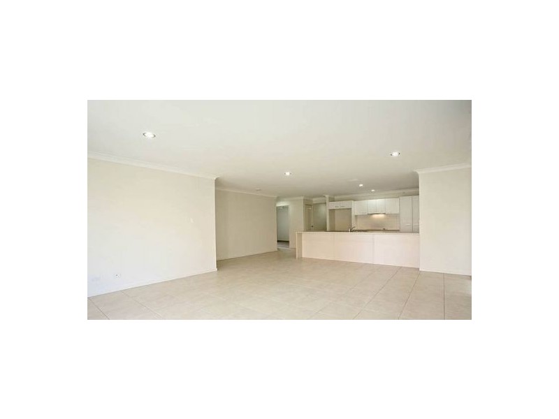53 Daintree Street, Bellmere QLD 4510