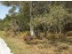 Morayfield QLD 4506