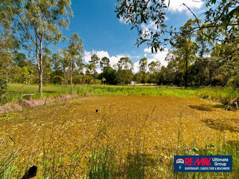 46 Bristlebird Drive, Morayfield QLD 4506