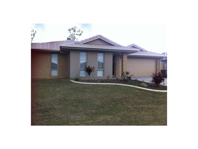 19 Leatherwood Street, Morayfield QLD 4506