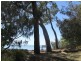 AUCTION 57 Ocean  Street, Torquay QLD 4655