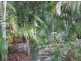 25 Raintree Avenue, Burrum Heads QLD 4659