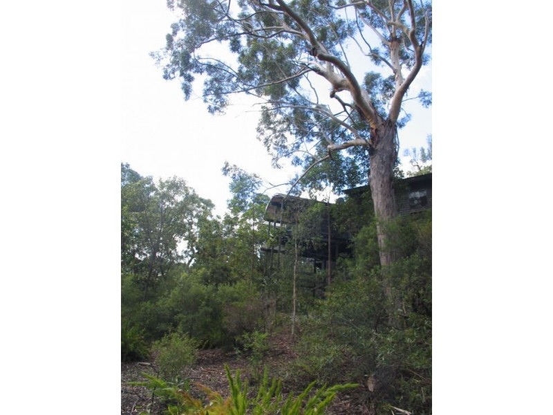 Fraser Island QLD 4581